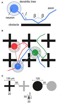 Impact of Physical Obstacles on the Structural and Effective Connectivity of in silico Neuronal Circuits